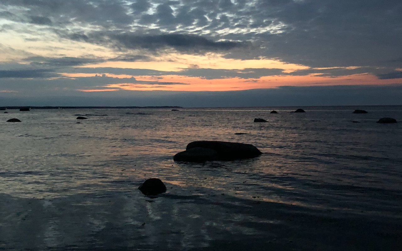 hetkeretked - guided hikes in Estonian wilderness.