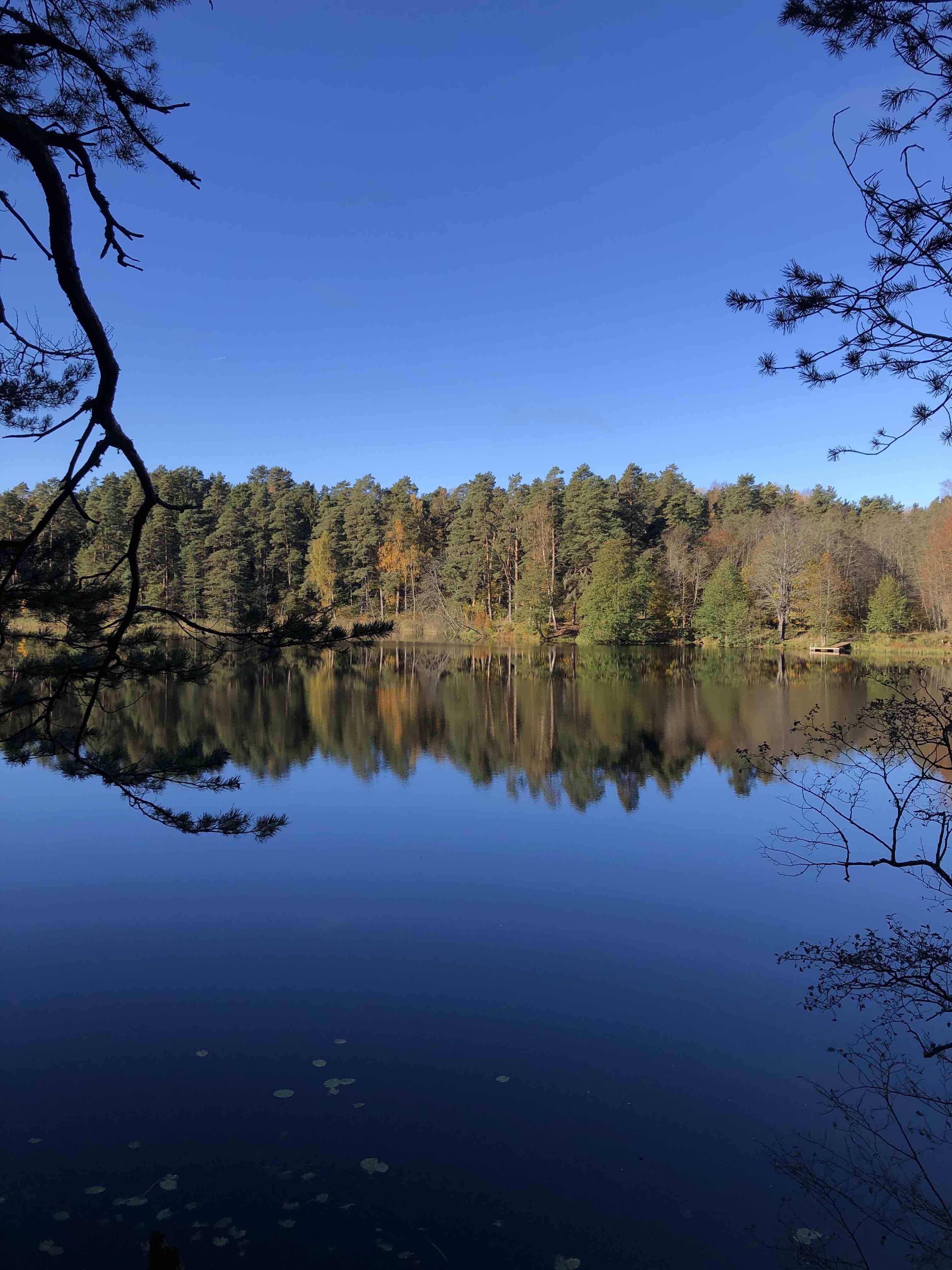 Verijärve vaade. Võru valla matkasarja avamatk. Foto autor: Lauri Pugast.